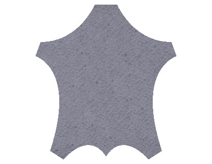 Svineskind Til Beklædning